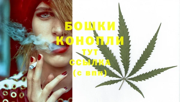 сатива Богородицк