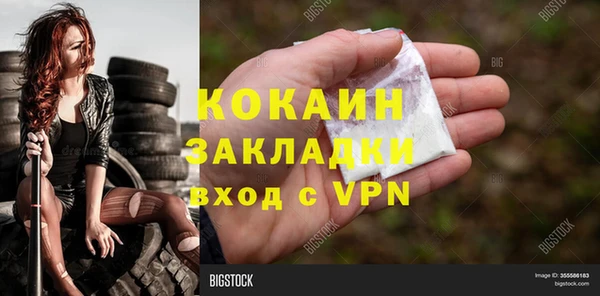 сатива Богородицк