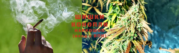 сатива Богородицк