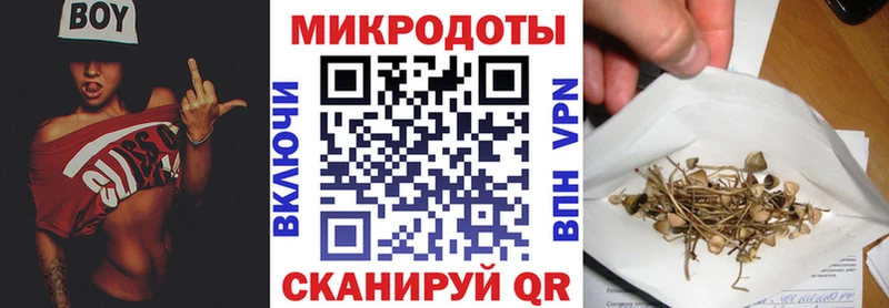 Купить закладки  Белинский  Галлюциногенные грибы мицелий 